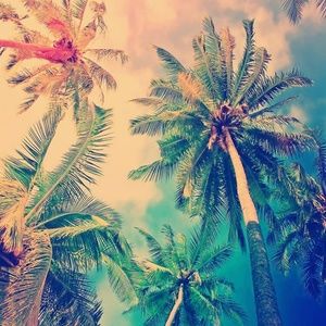 Meet your Posher, Eden